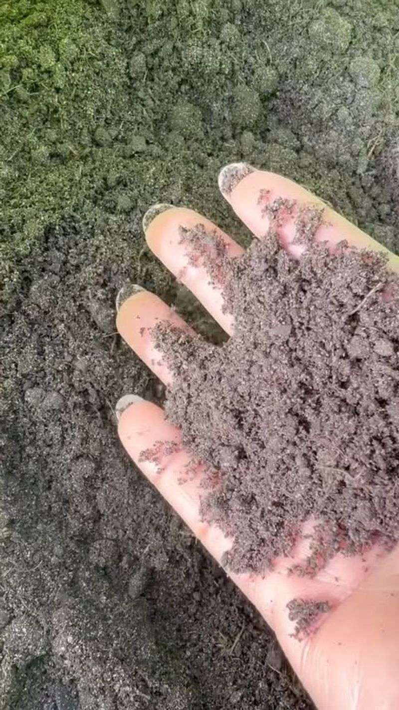 Greensand: Mineral-Rich Marine Deposit