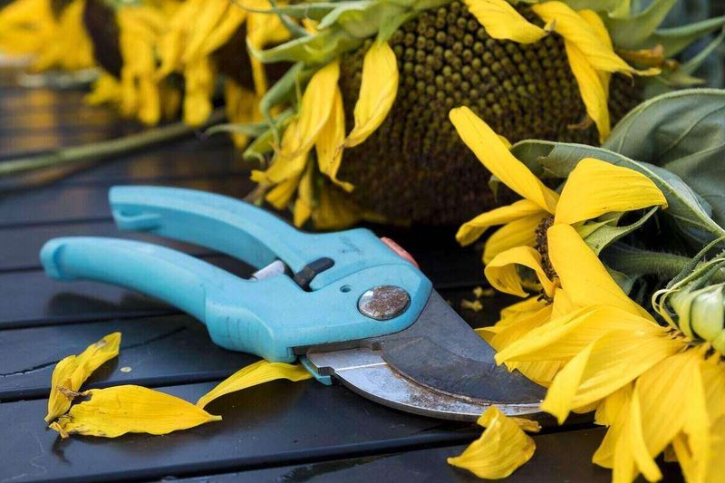 Gather Your Tools