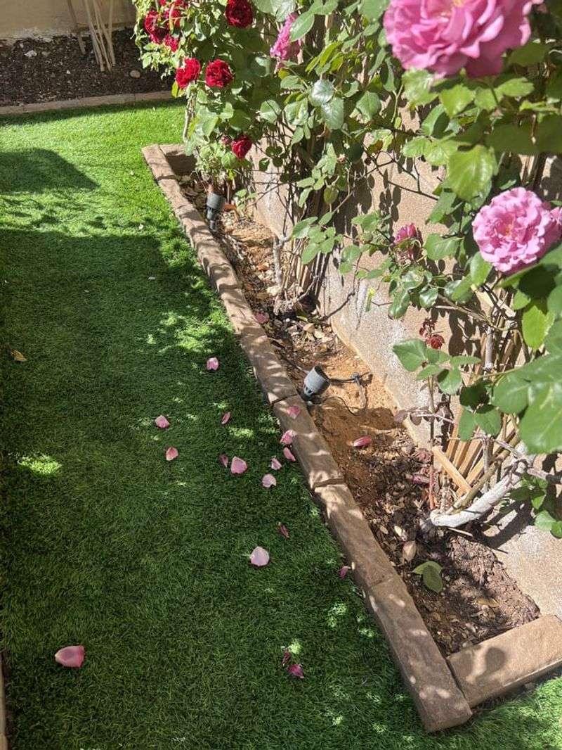 Apply Mulch Strategically