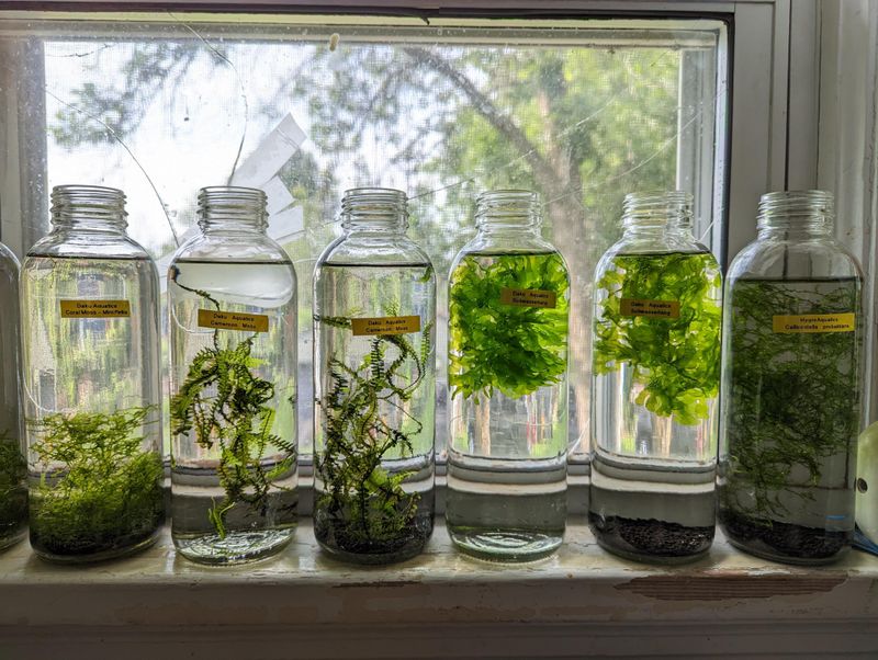 Liquid Fertilizer Dispensers