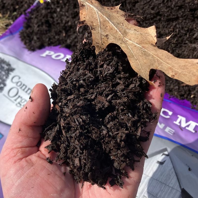 Apply Mulch To Retain Moisture