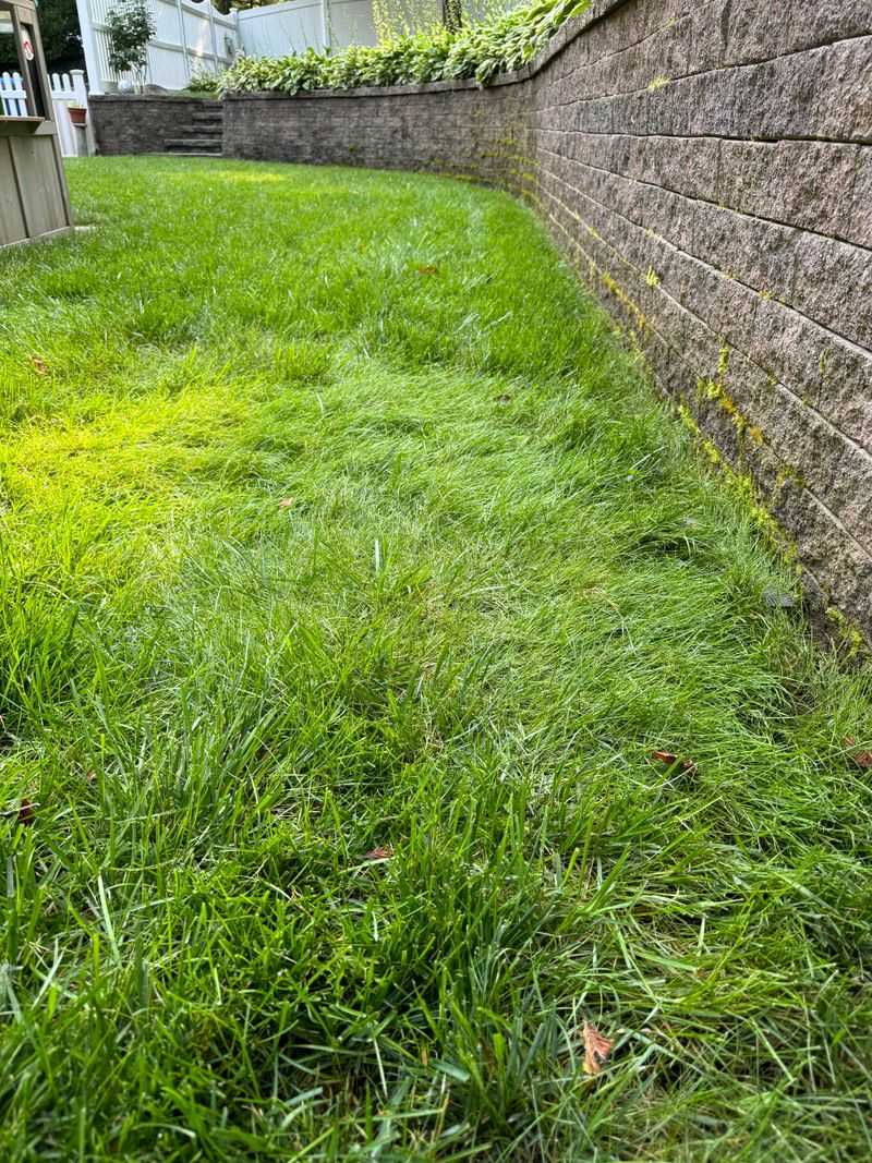 Measure Your Lawn Area Accurately