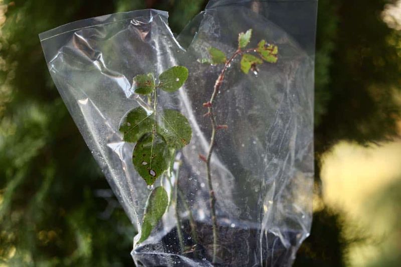 Create A Humidity Chamber