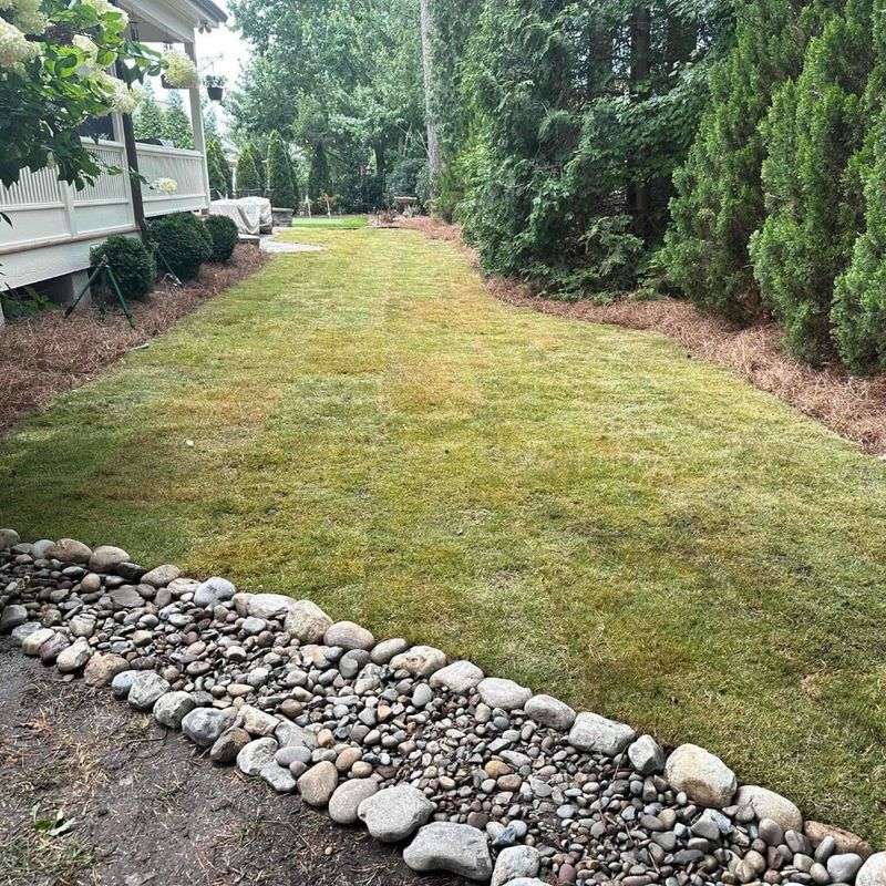 Improve Drainage