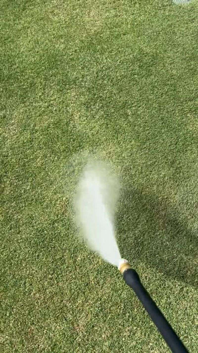 Shallow, Frequent Watering