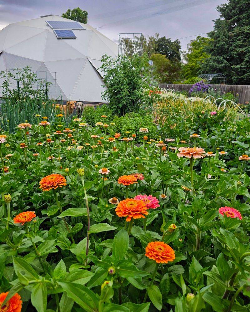 Ignoring Soil PH