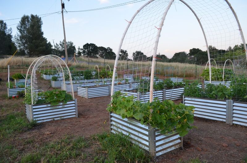 Corrugated Metal Panel Beds