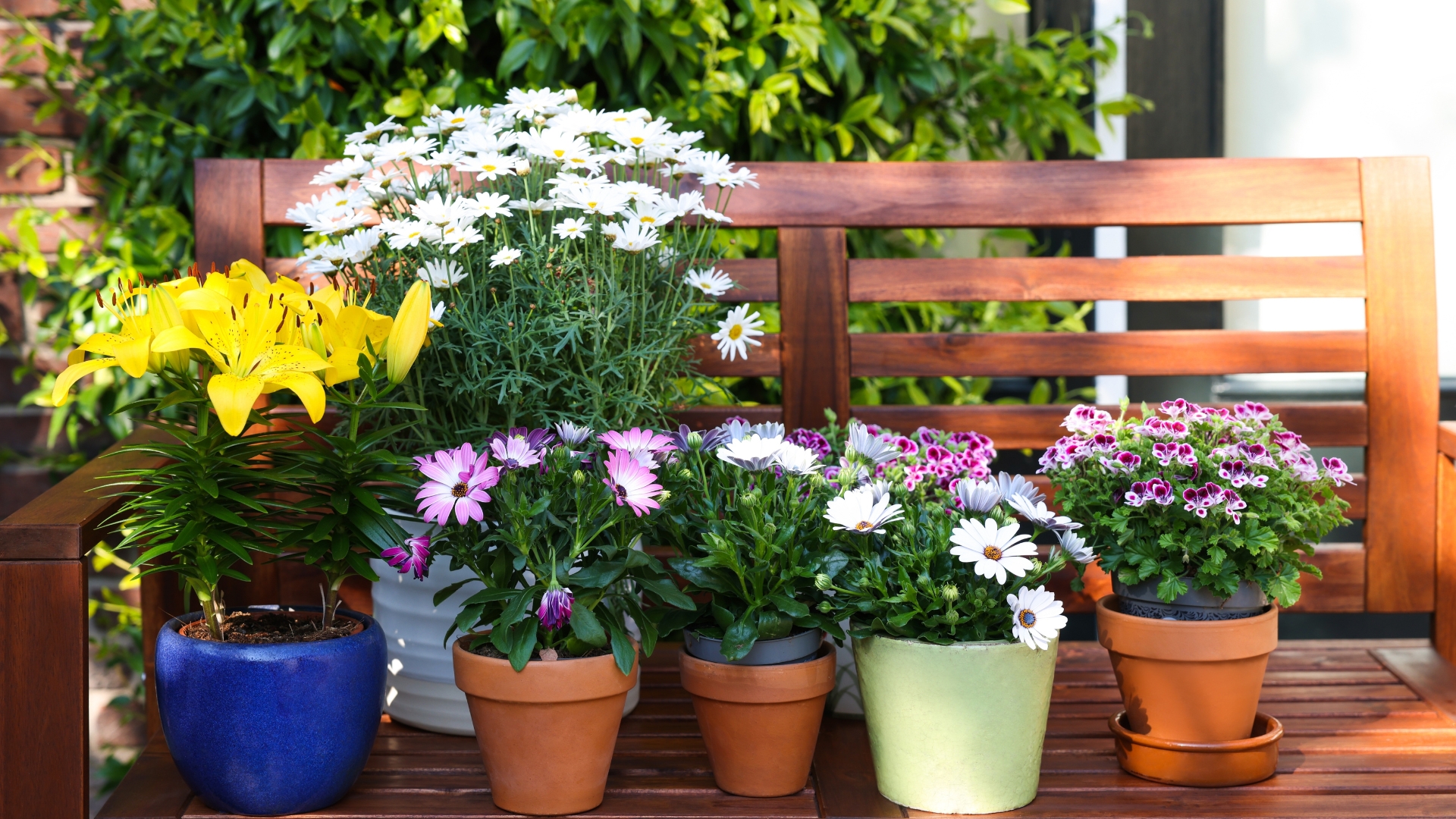 Ways To Refresh Your Florida Yard Without A Full Redesign