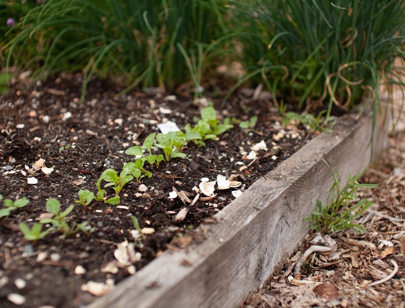 Soil Nutrient Enrichers