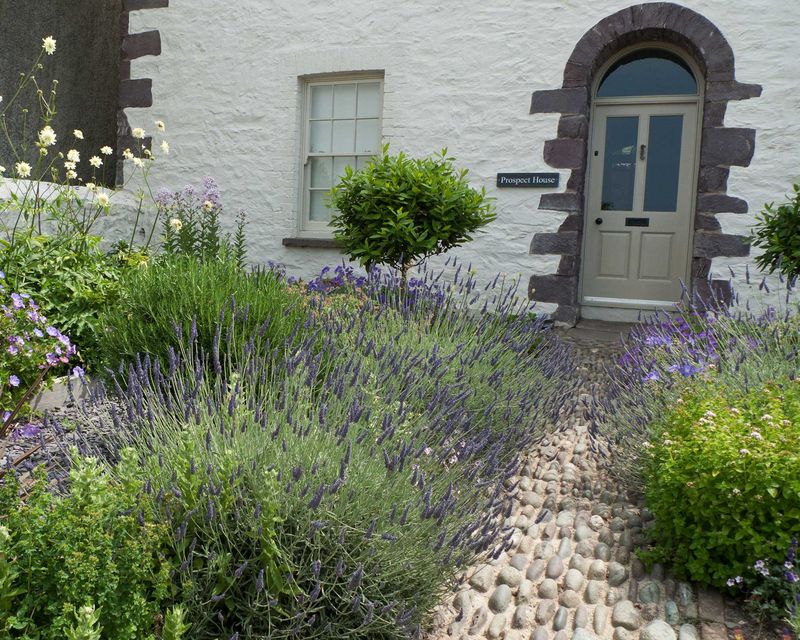 Drought-Resistant Landscaping