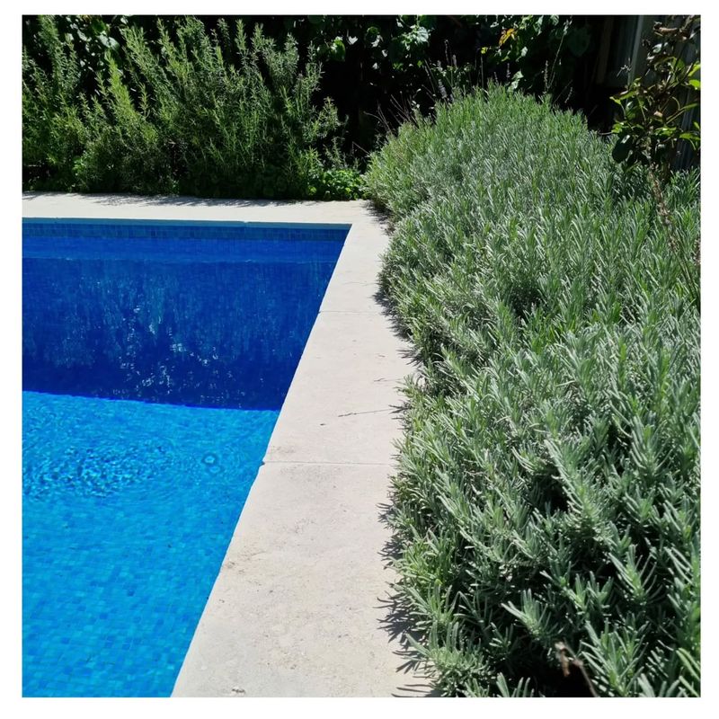 Near Pools