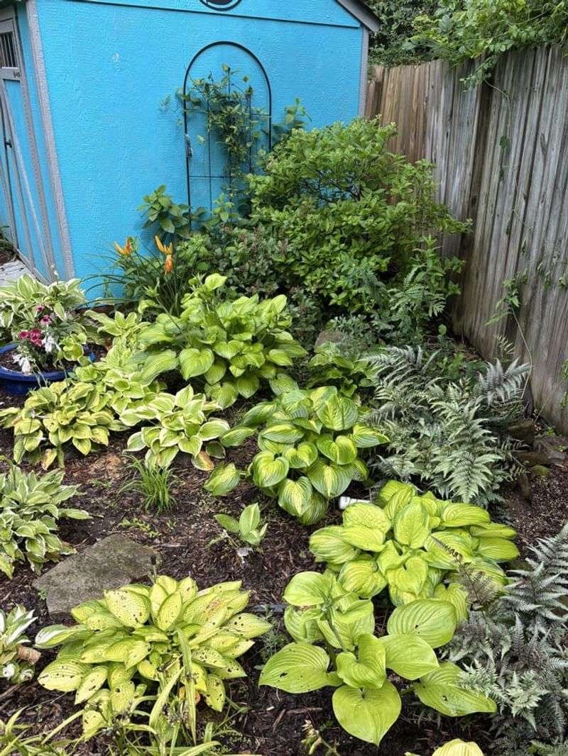 Creating Cleaner Garden Sightlines