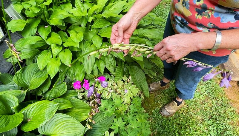 Preventing Self-Seeding Mayhem
