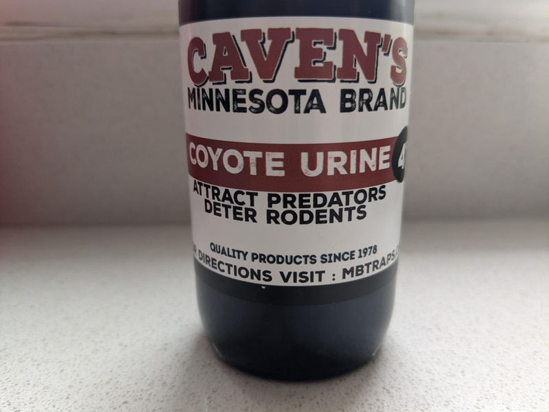 Predator Urine: Fear Factor