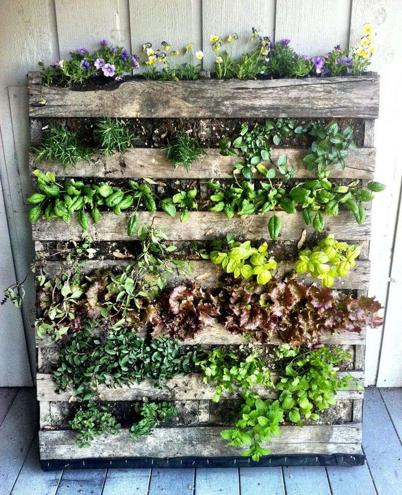 Vertical Pallet Garden