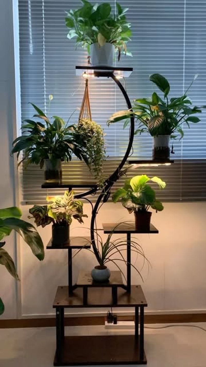 Plant-Friendly Lighting Feature