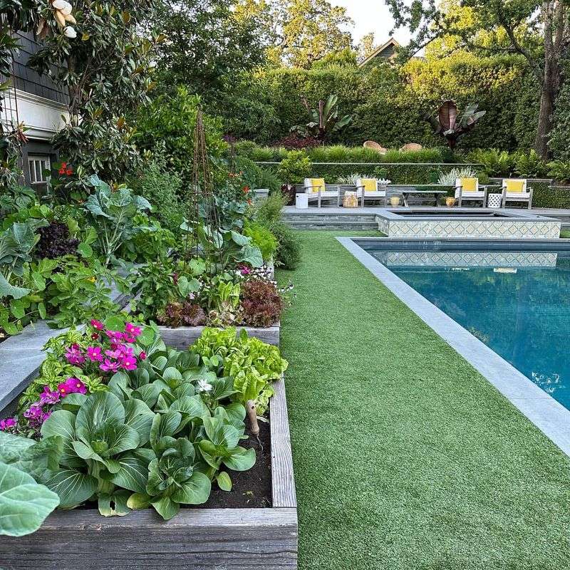 Kiddie Pool Gardens
