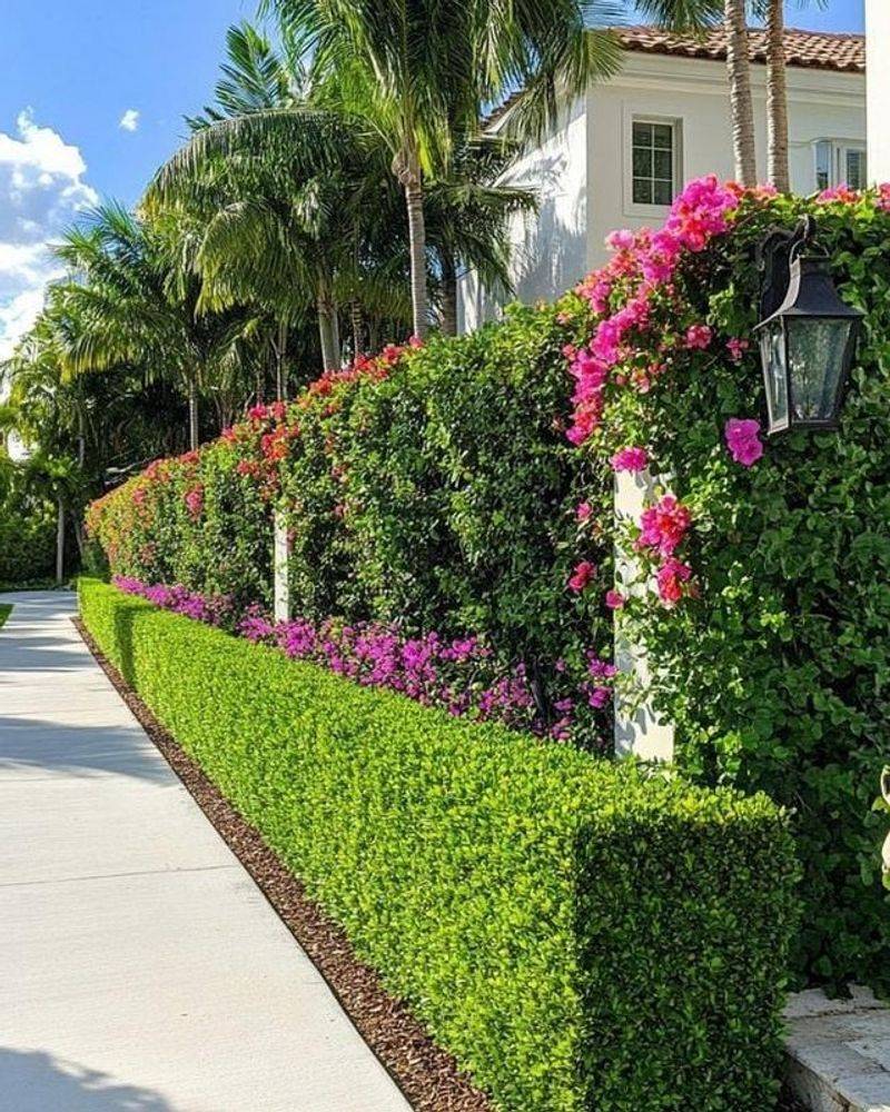 Privacy Hedges