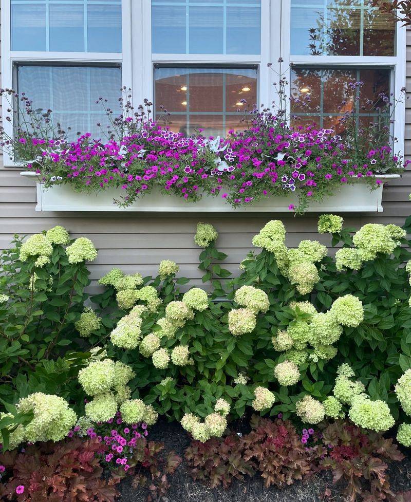 Companion Plants Matter