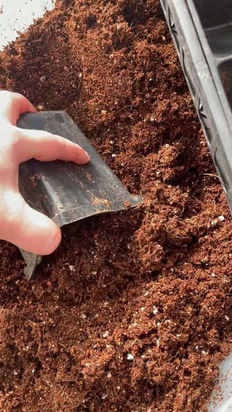 Coconut Coir: Drought-Fighting Wonder
