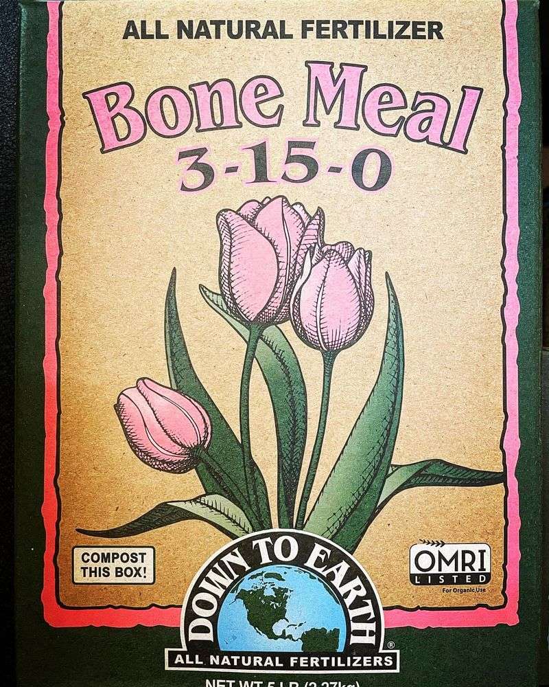 Bone Meal