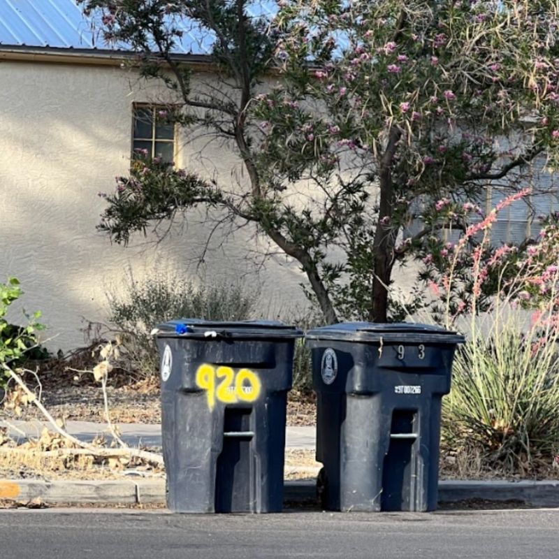 Overflowing Trash Cans
