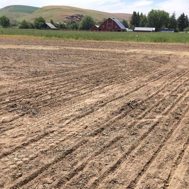 Runoff Farming With Strategic Field Design