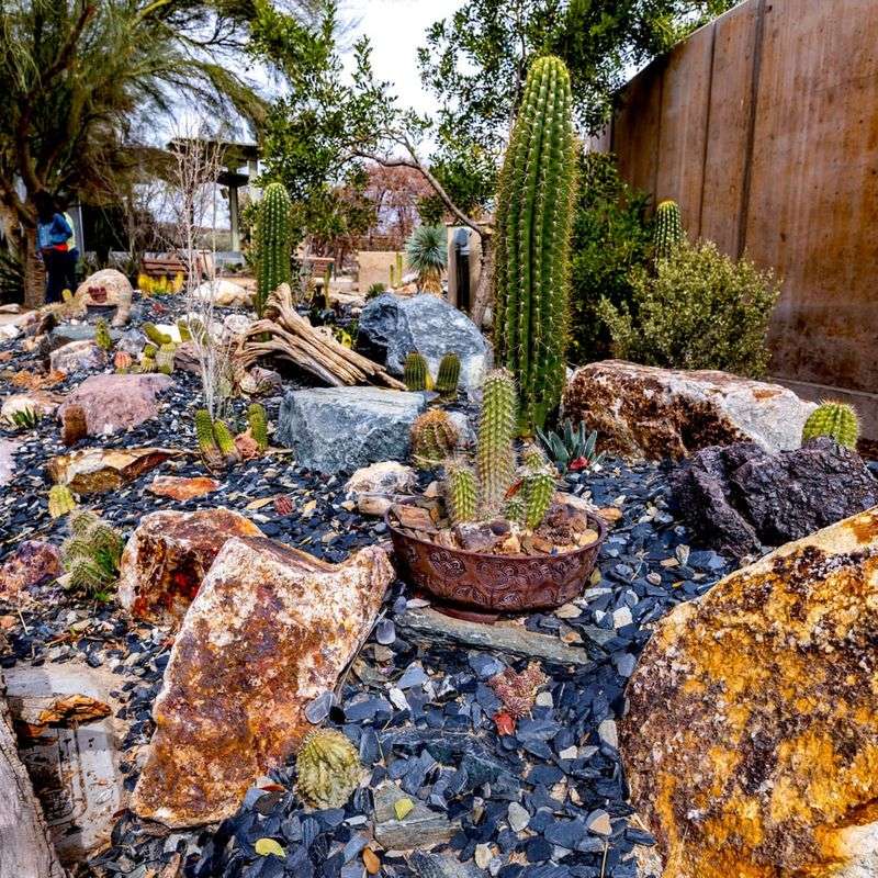 Cactus Spotlight Gravel Rings