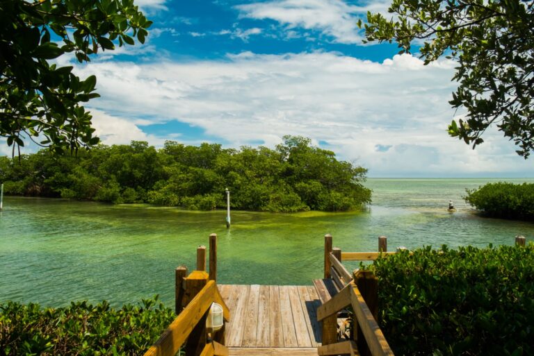 Scenic view of the Florida Keys with mangroves