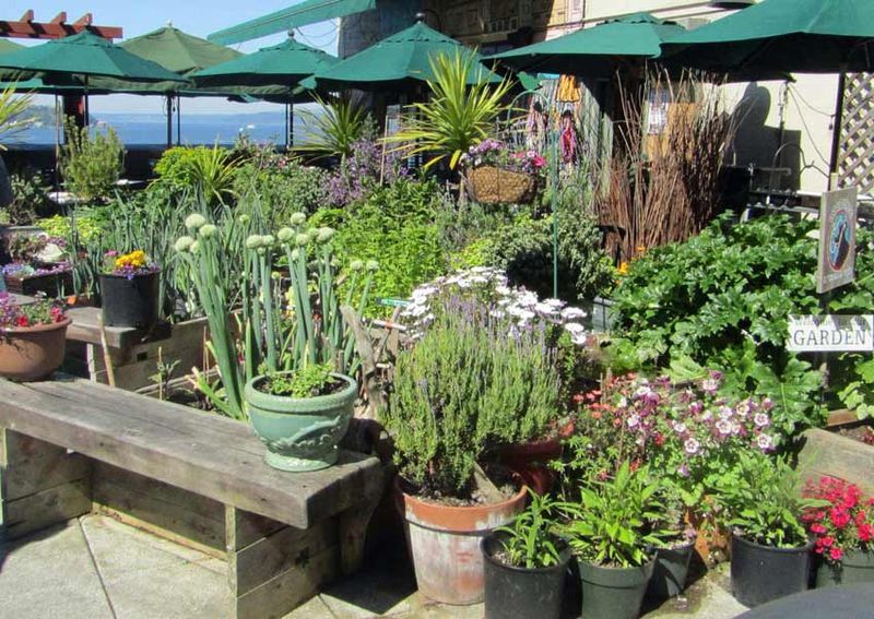 Rooftop Herb Plantings Above The Market