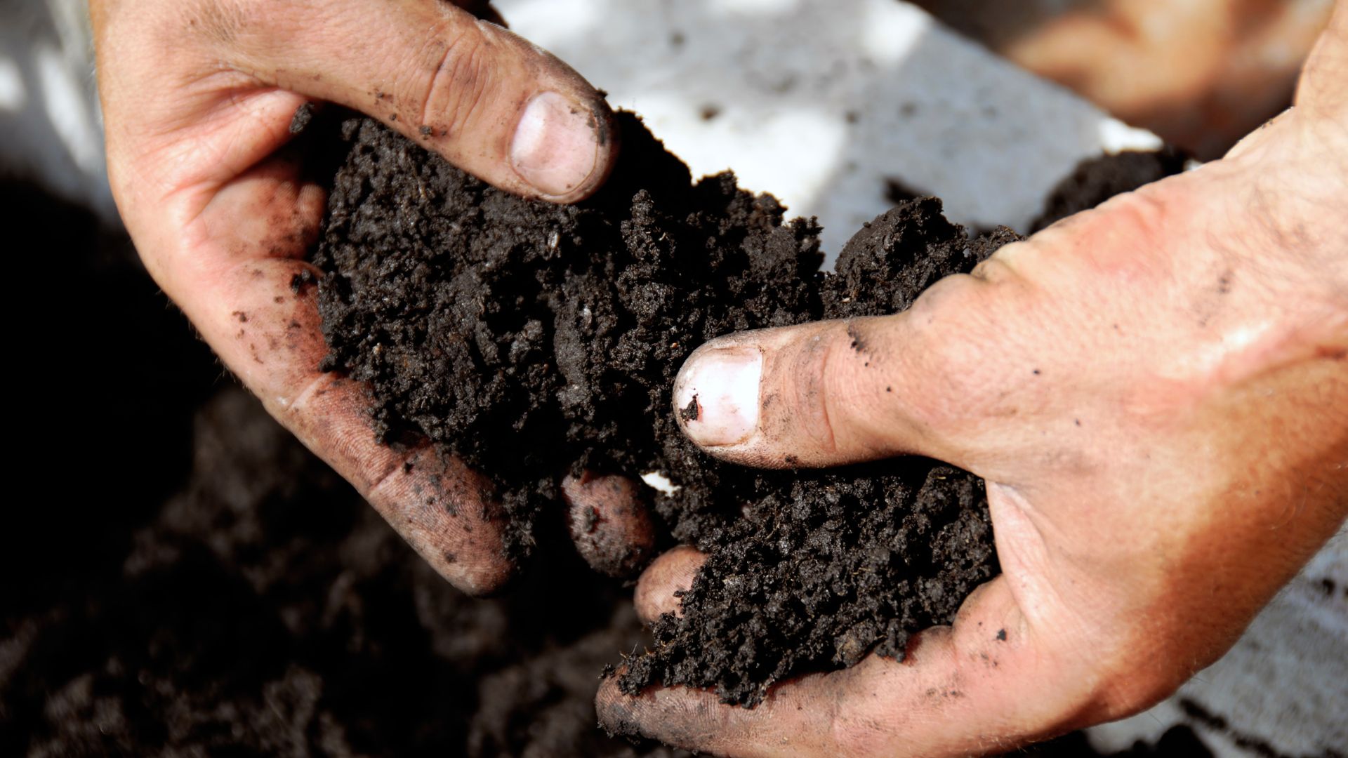 15 August Soil Prep Tips For An Extended Harvest Season In Illinois
