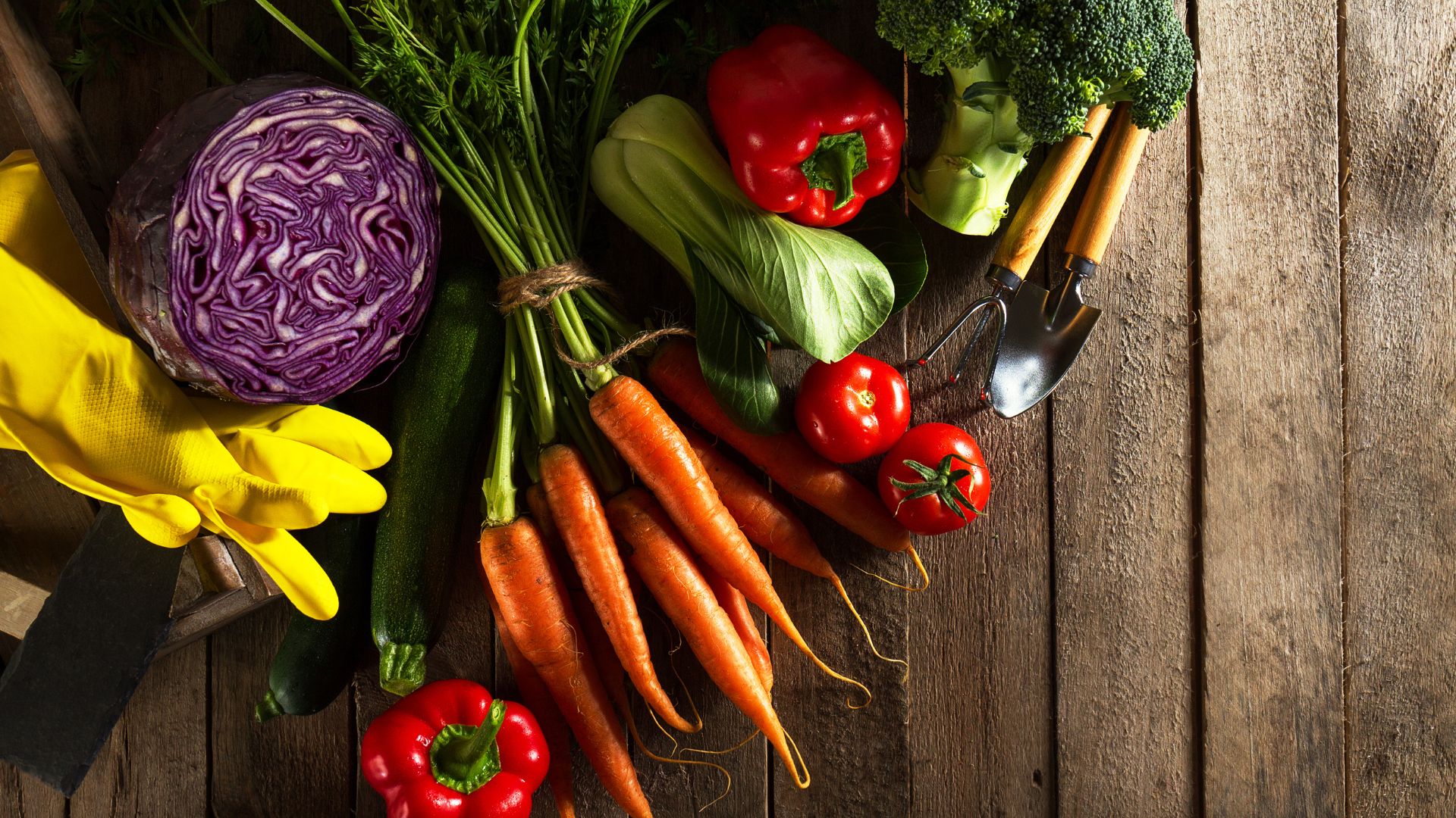 15 August Tasks For A Massive Fall Vegetable Harvest In Indiana
