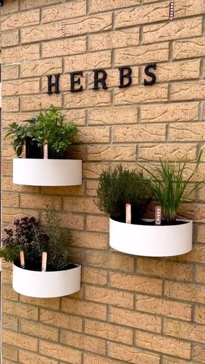 Vertical Herb Gardens