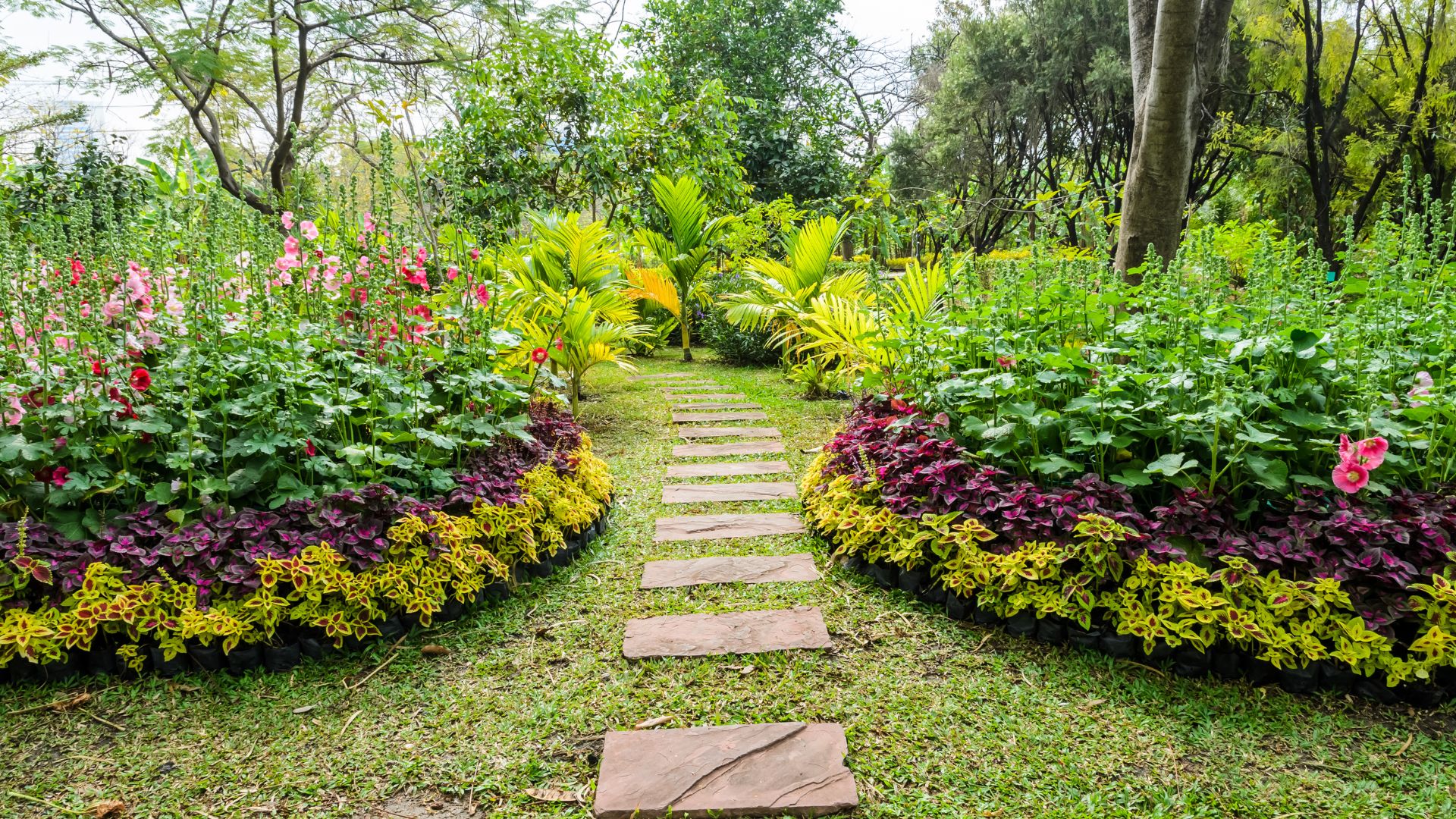 15 Chaos Gardening Ideas That Work Beautifully In California