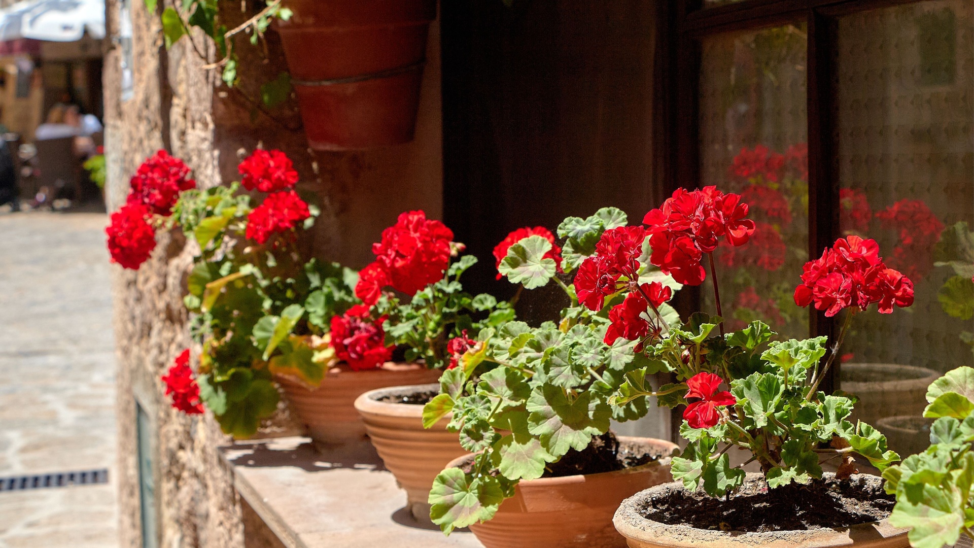 15 Nostalgia Gardening Ideas Inspired By Georgia Traditions
