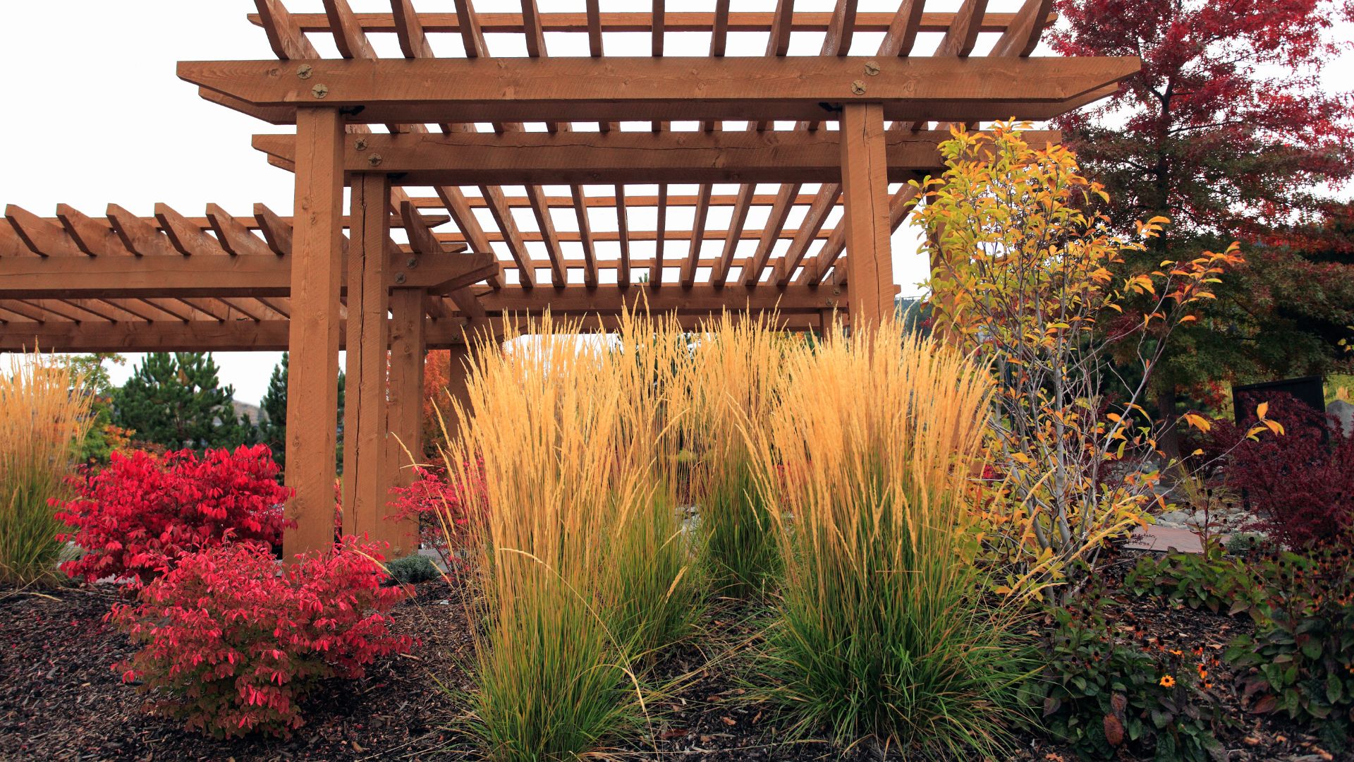 rustic pergola
