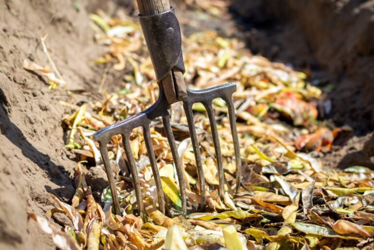 trench composting (featured image)