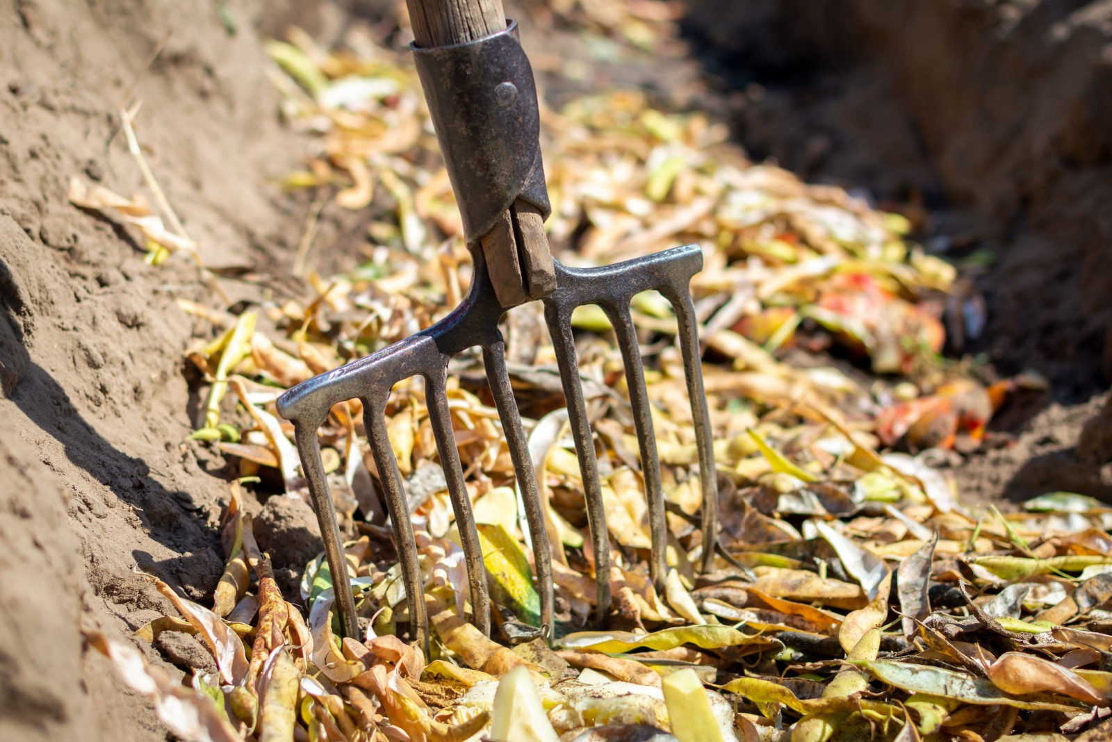 15 Superfast Composting Methods For Arizona Gardeners