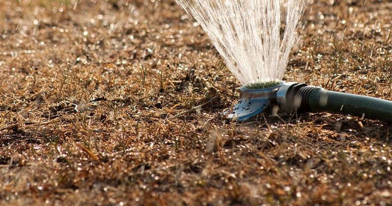 Neglecting Water Management