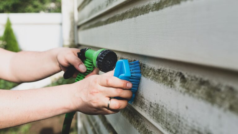 home owner scrubs algae from house siding
