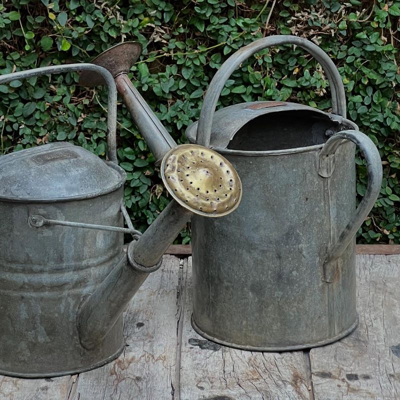 Rusty Metal Watering Cans