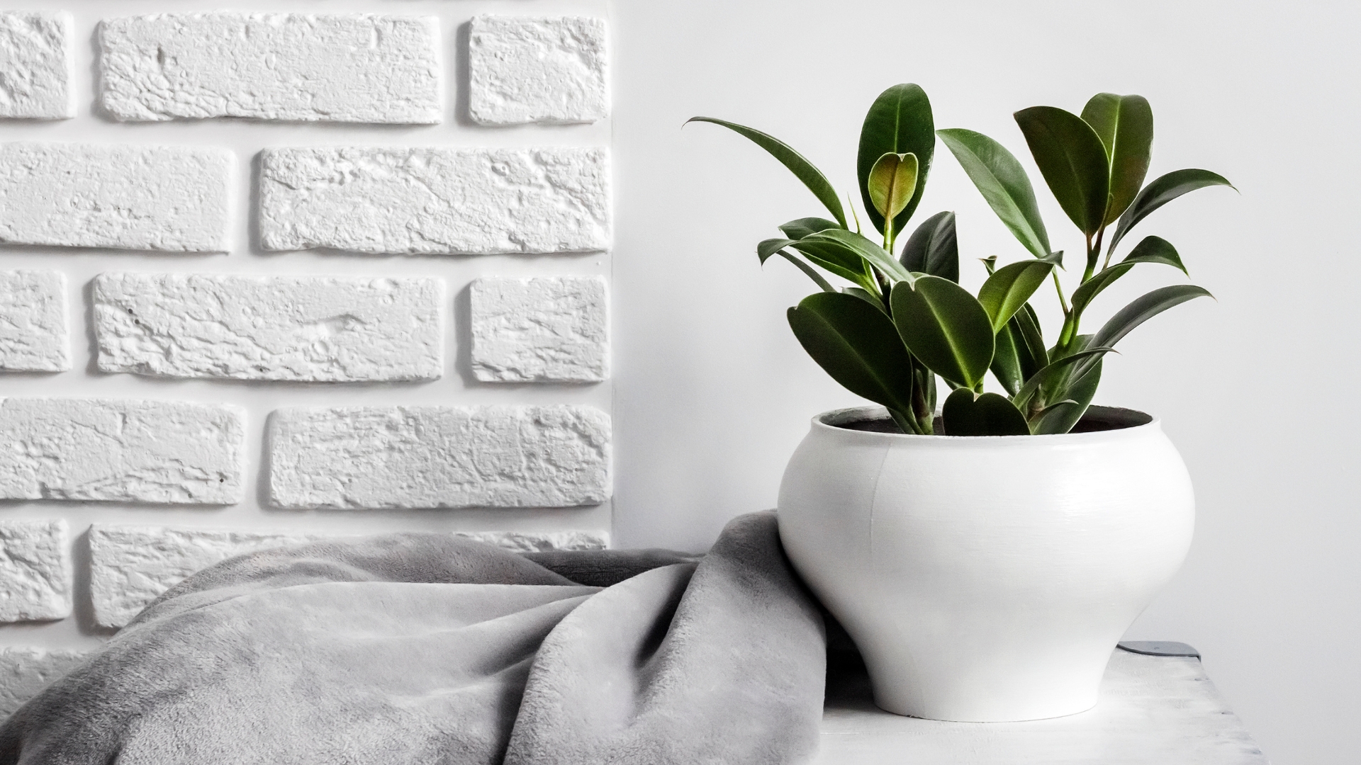 17 Plants You Can Grow In Colorado That May Help With Respiration Issues