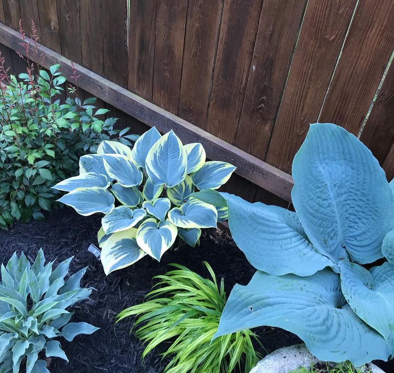 Choose Shade-Loving Varieties
