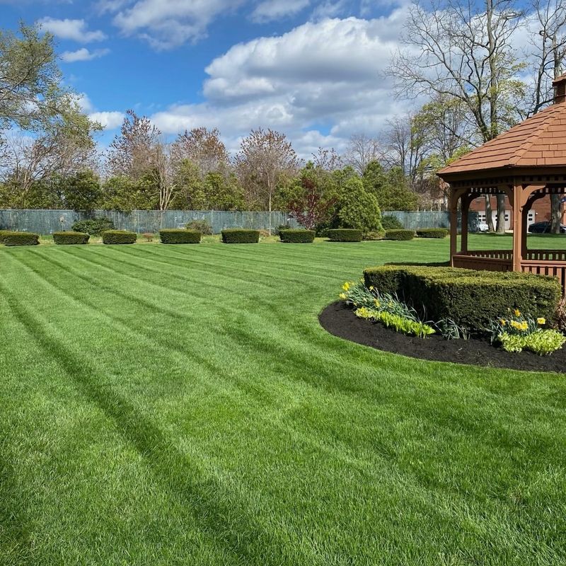 Maintain Proper Mowing Height