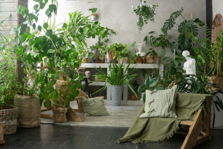 houseplant collection (featured image)