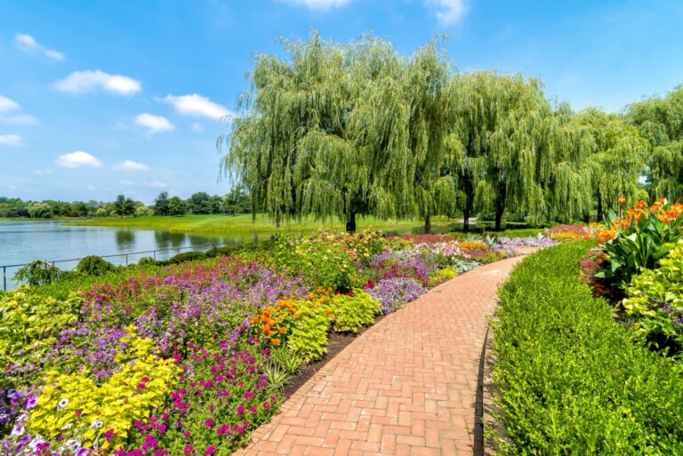 View of Chicago Botanic Garden