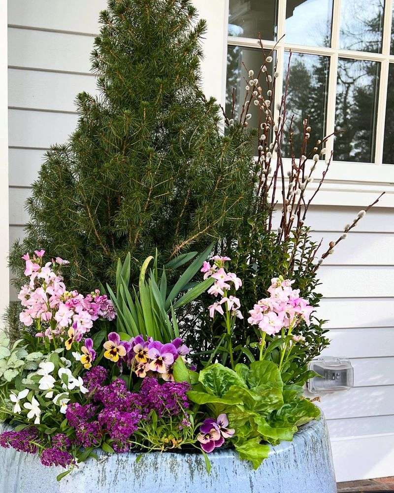 5. Self-Seeding Annual Mix
