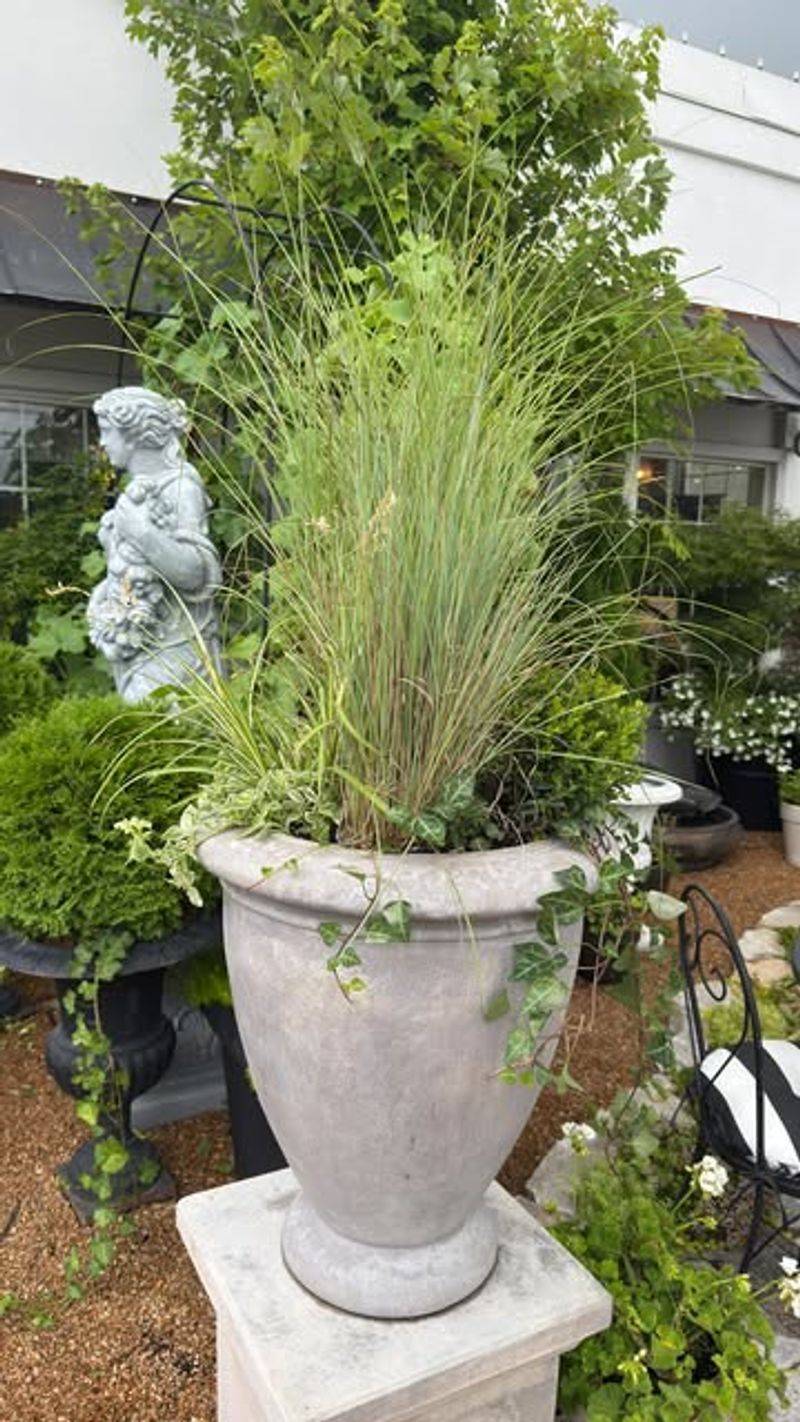 7. Ornamental Grass Statement Pot