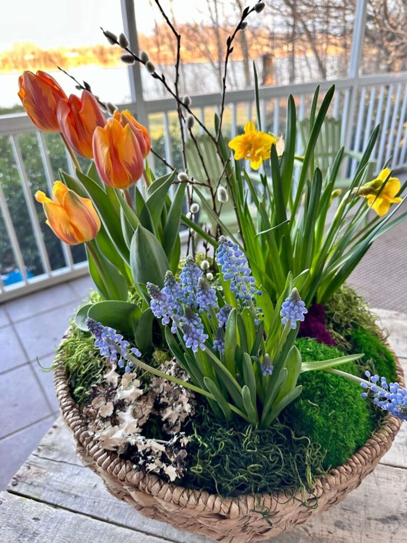 10. Michigan Bulb Layered Pot