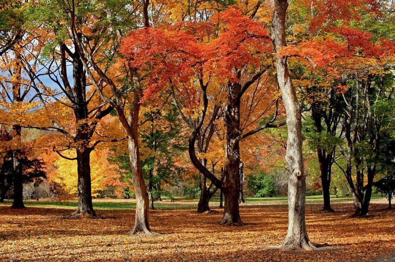 Home To Over 15,000 Living Plant Specimens